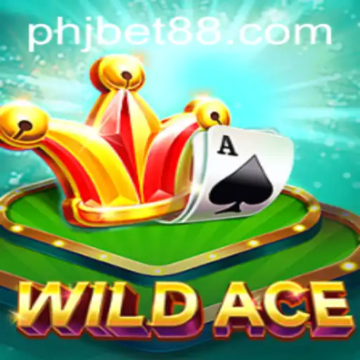 WildAce: The Thrilling Card Game Capturing Hearts Worldwide